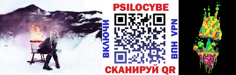 KRAKEN вход Майский Галлюциногенные грибы Magic Shrooms