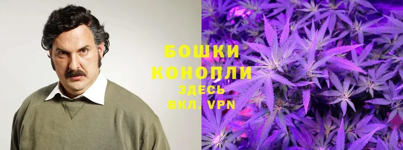 МЕГА как зайти  где купить наркотик  Майский  Марихуана OG Kush 